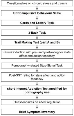 Decision making and executive functions in problematic pornography use